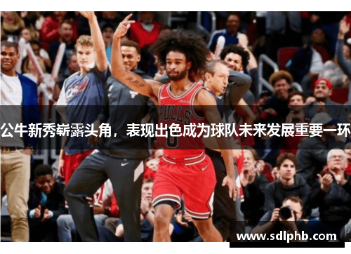 公牛新秀崭露头角，表现出色成为球队未来发展重要一环